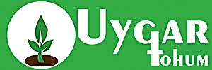 uygar